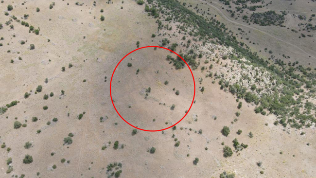 Kaybolan koyunlar dron ile bulundu